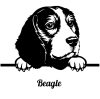 Beagle matrica 30 cm