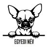 Egyedi neves Csivava matrica