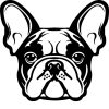 Francia bulldog matrica 24