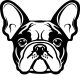 Francia bulldog matrica 24
