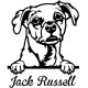 Jack russel matrica 12