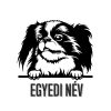Egyedi neves Japán csin matrica