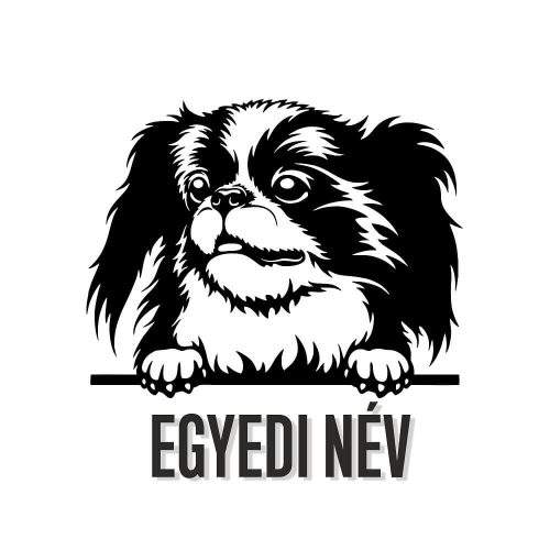 Egyedi neves Japán csin matrica