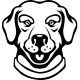 Labrador matrica 20