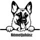 Németjuhász matrica 20