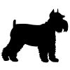 Schnauzer matrica 15