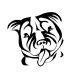Pitbull matrica 17