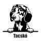 Tacskó matrica 22