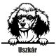 Uszkár matrica 15