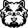 Westie matrica 7