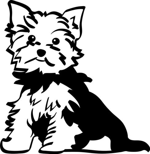 Yorki matrica 10