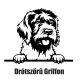 Drótszőrű griffon matrica
