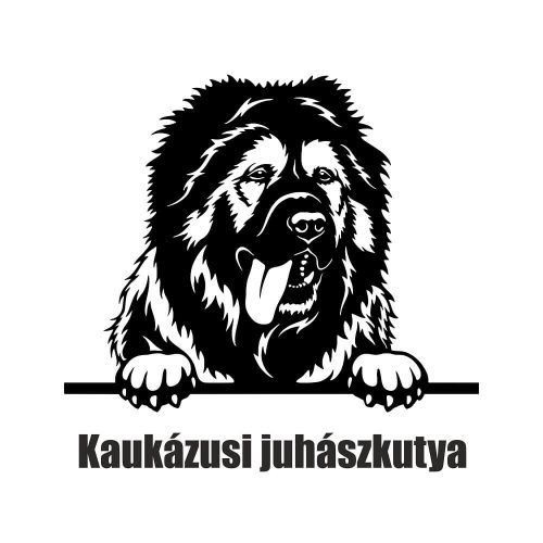 Kaukázusi juhászkutya matrica 3