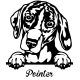 Pointer matrica 3