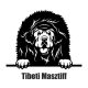 Tibeti masztiff matrica 2