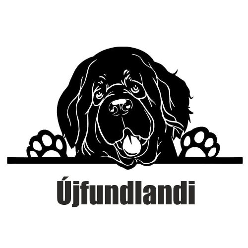 Újfundlandi matrica 3
