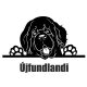 Újfundlandi matrica 3