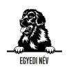 Egyedi neves Újfundlandi matrica