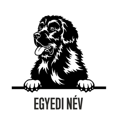 Egyedi neves Újfundlandi matrica