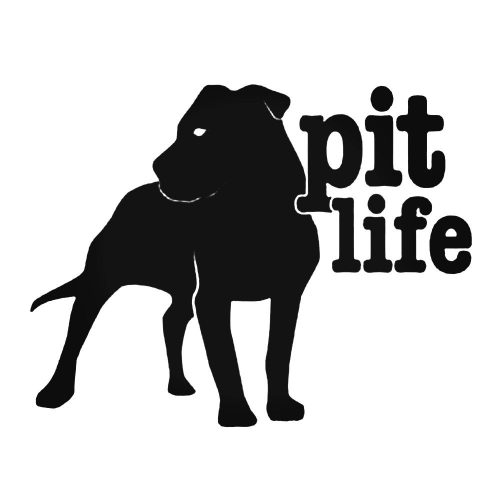 Pit Life "1" matrica