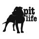 Pit Life "1" matrica