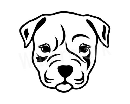 Pitbull kölyök matrica
