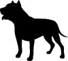 Pit Bull "2" matrica