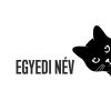 Egyedi cicás matrica