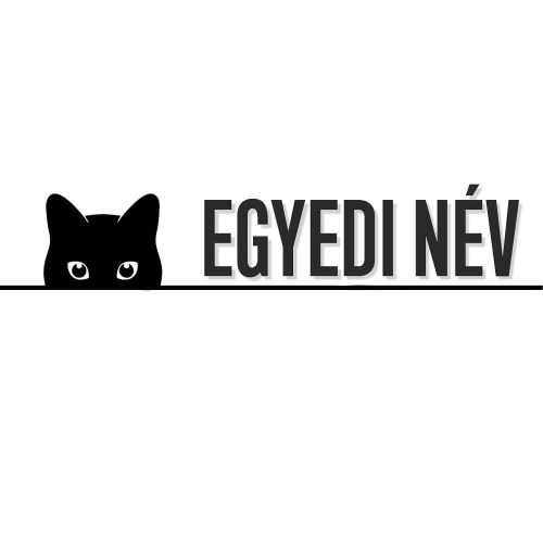 Dekorációs macska matrica egyedi névvel
