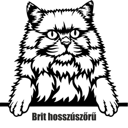 Brit hosszúszőrű macska matrica