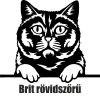 Brit rövidszőrű macska matrica