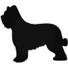 Briard kutya matrica