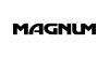 Renault magnum kamion matrica