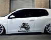 Racing ló tuning matrica (30x44 cm)