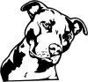 Pitbull autómatrica