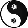 Jing-Jang kutya autómatrica