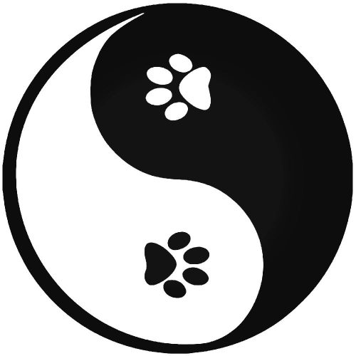 Jing-Jang kutya autómatrica